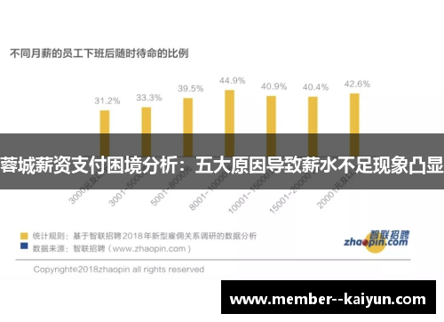 蓉城薪资支付困境分析:五大原因导致薪水不足现象凸显 蓉城薪资支付困境分析:五大原因导致薪水不足现象凸显